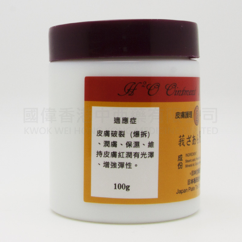 H2O OINTMENT (100g)