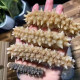 Australia Deep Sea Wild Sea Cucumber 80pcs/2680kg
