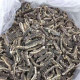 Australia Deep Sea Wild Sea Cucumber 80pcs/2680kg