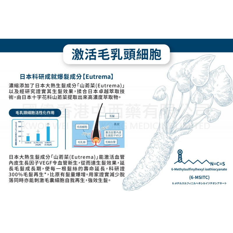 WholeLove Hair 愛完全活髮系列 全爆髮醫學級細胞復甦配方 (60粒)