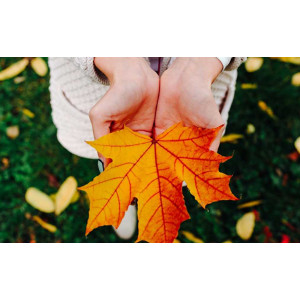 Must-have for fall